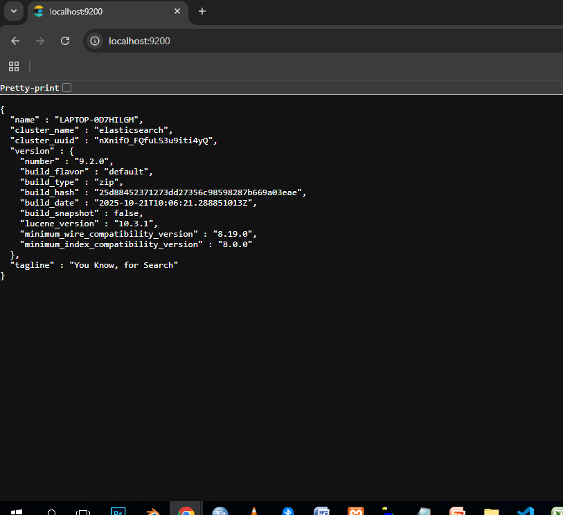 elastic search localhost homepage