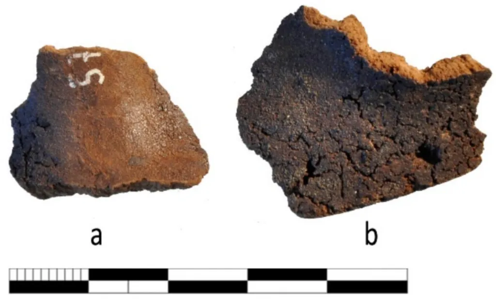 Fragmentos de la calabaza