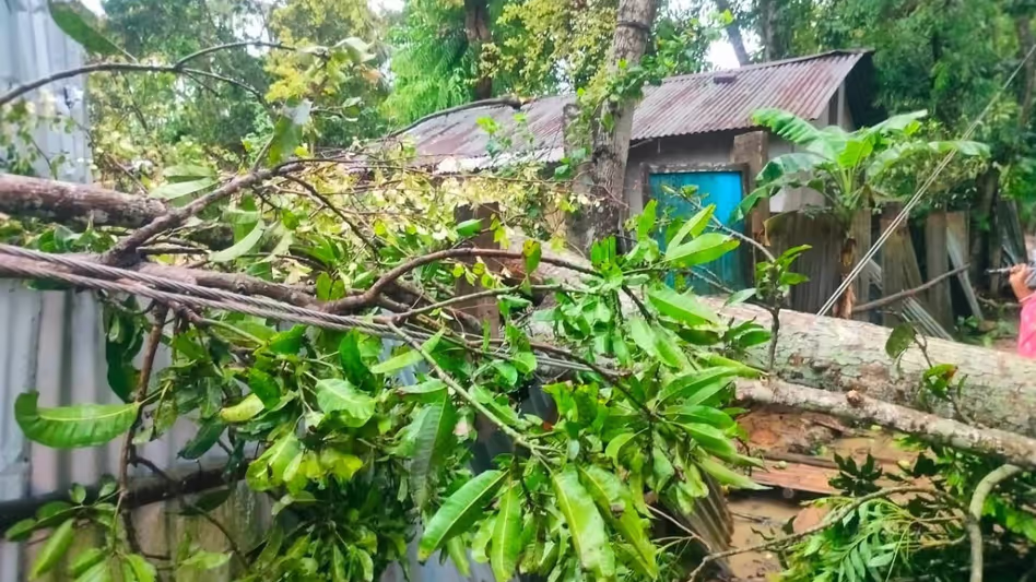 Tripura govt working all-out to tackle storm damage, aid affected people: CM Manik Saha