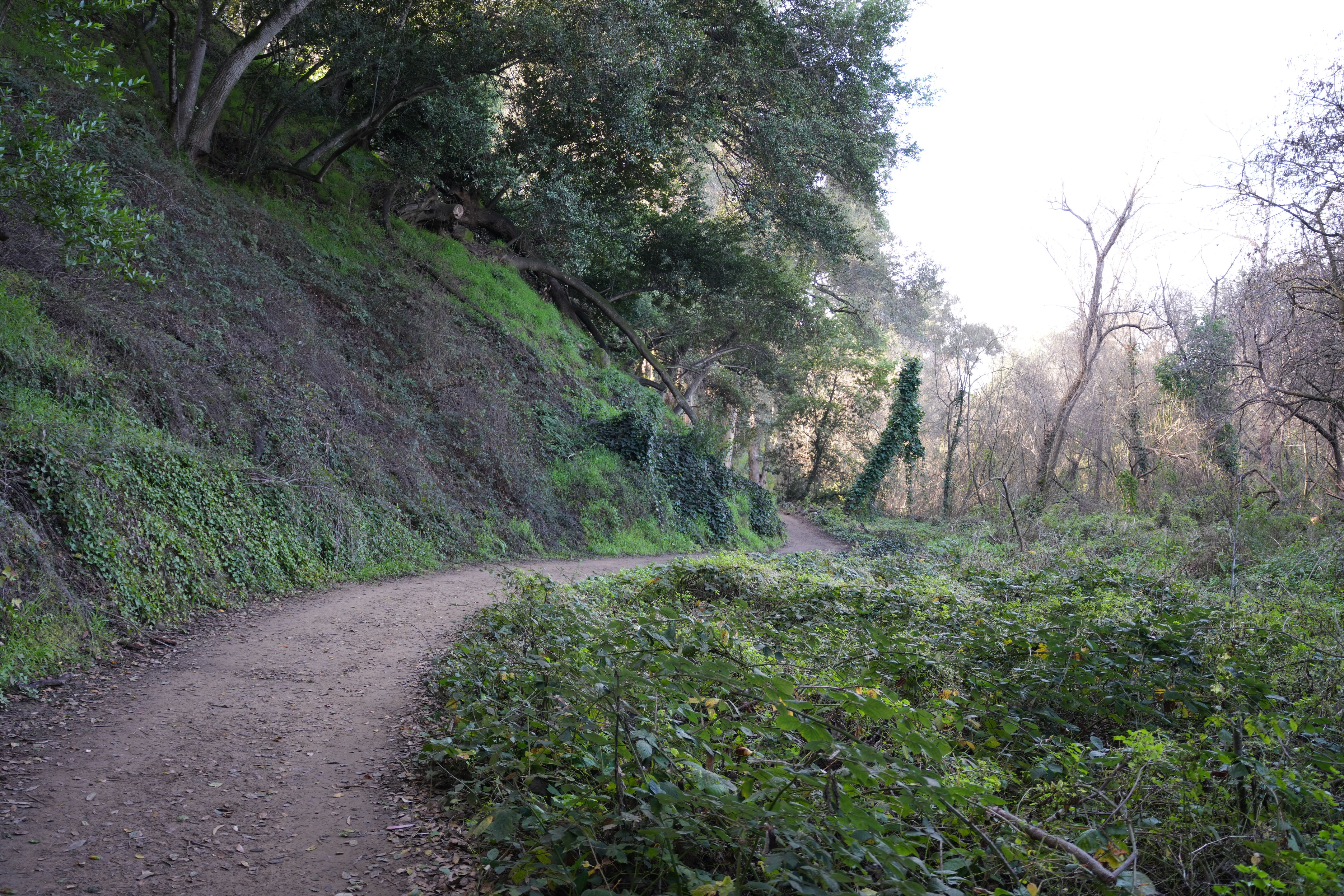 Don Castro Regional Recreation Area