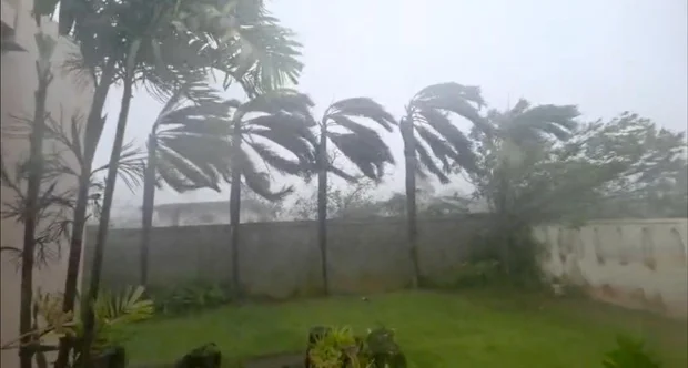 Severe Weather Pacific Typhoon 