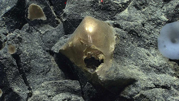 orb-800.jpg 
