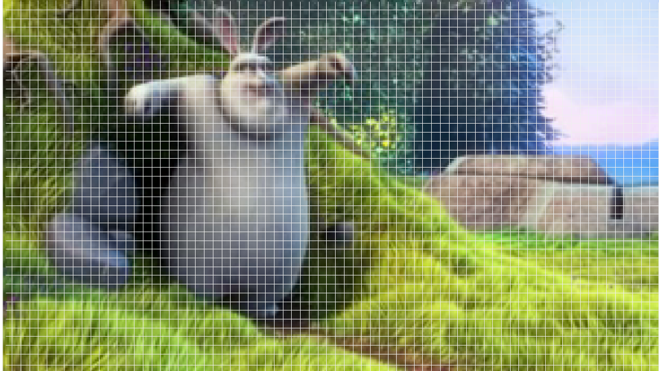 VideoFrames have pixels