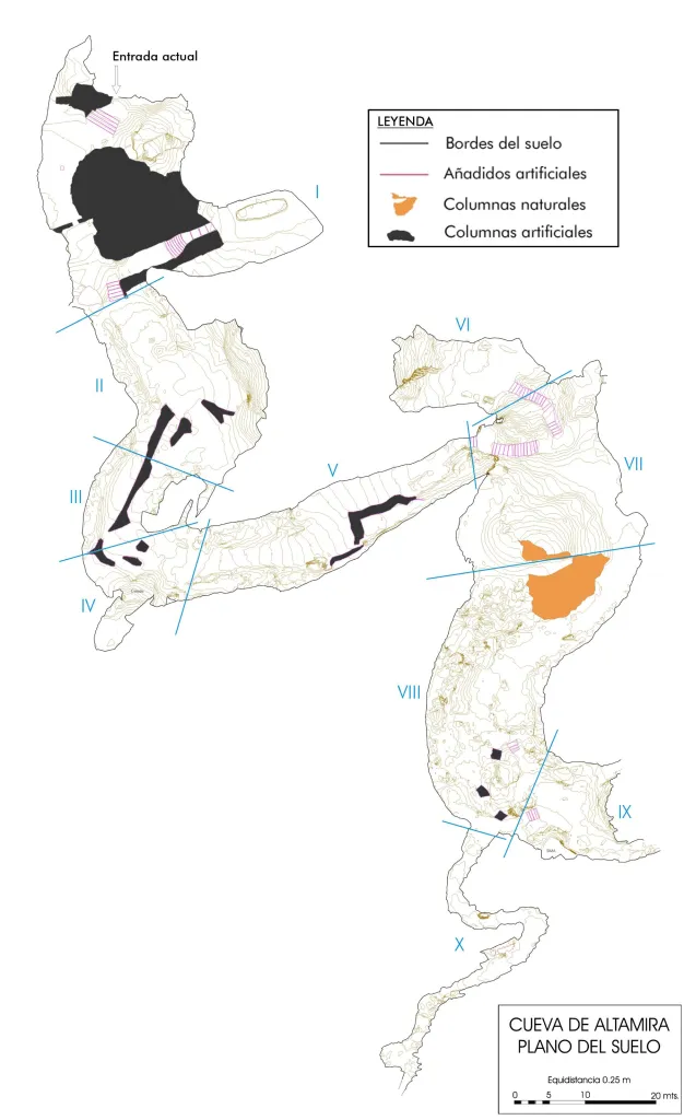 Planta de la cueva de Altamira
