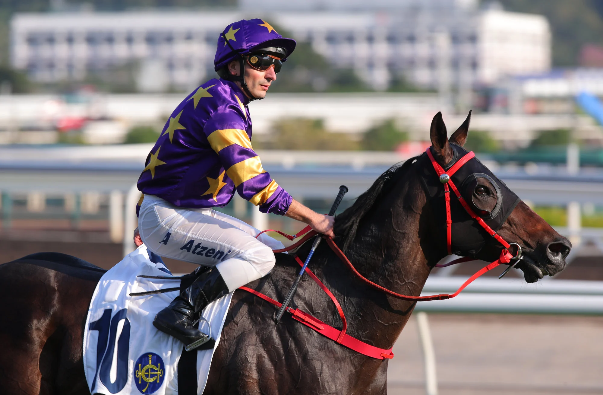 Stellar Express returns after winning at Sha Tin. Stellar Express returns after winning at Sha Tin.