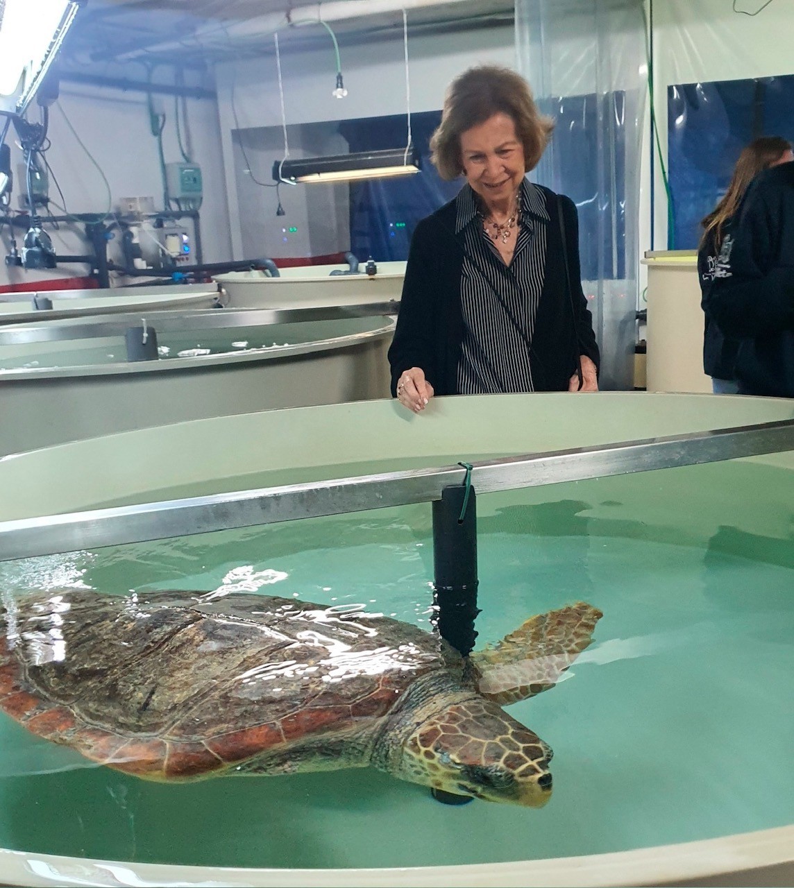 La Reina em�rita, Do�a Sof�a, visitando el Palma Aquarium.