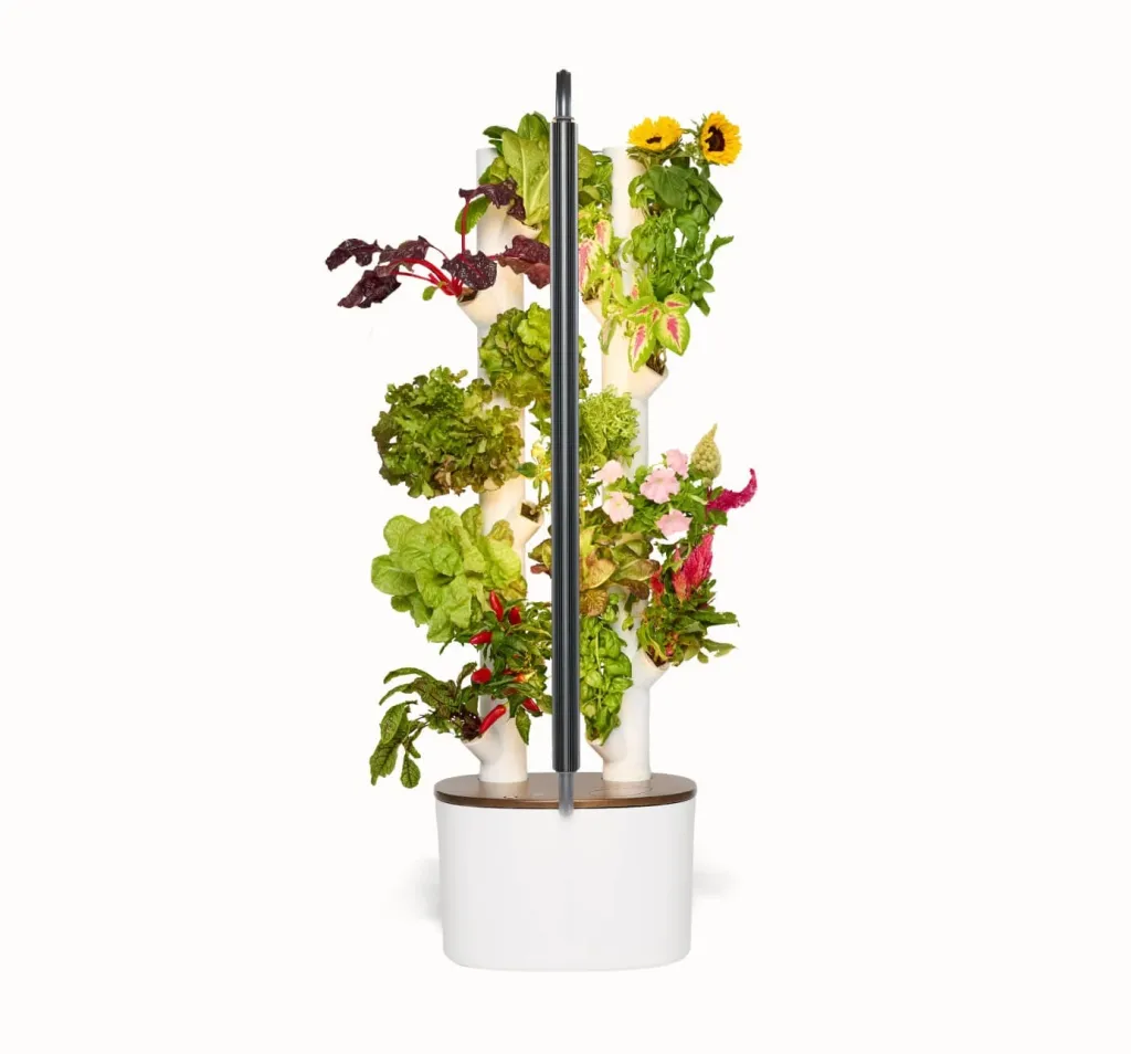 Best Mother's Day Gifts for Mom 2026: What to Get My Mom for Mother's Day
