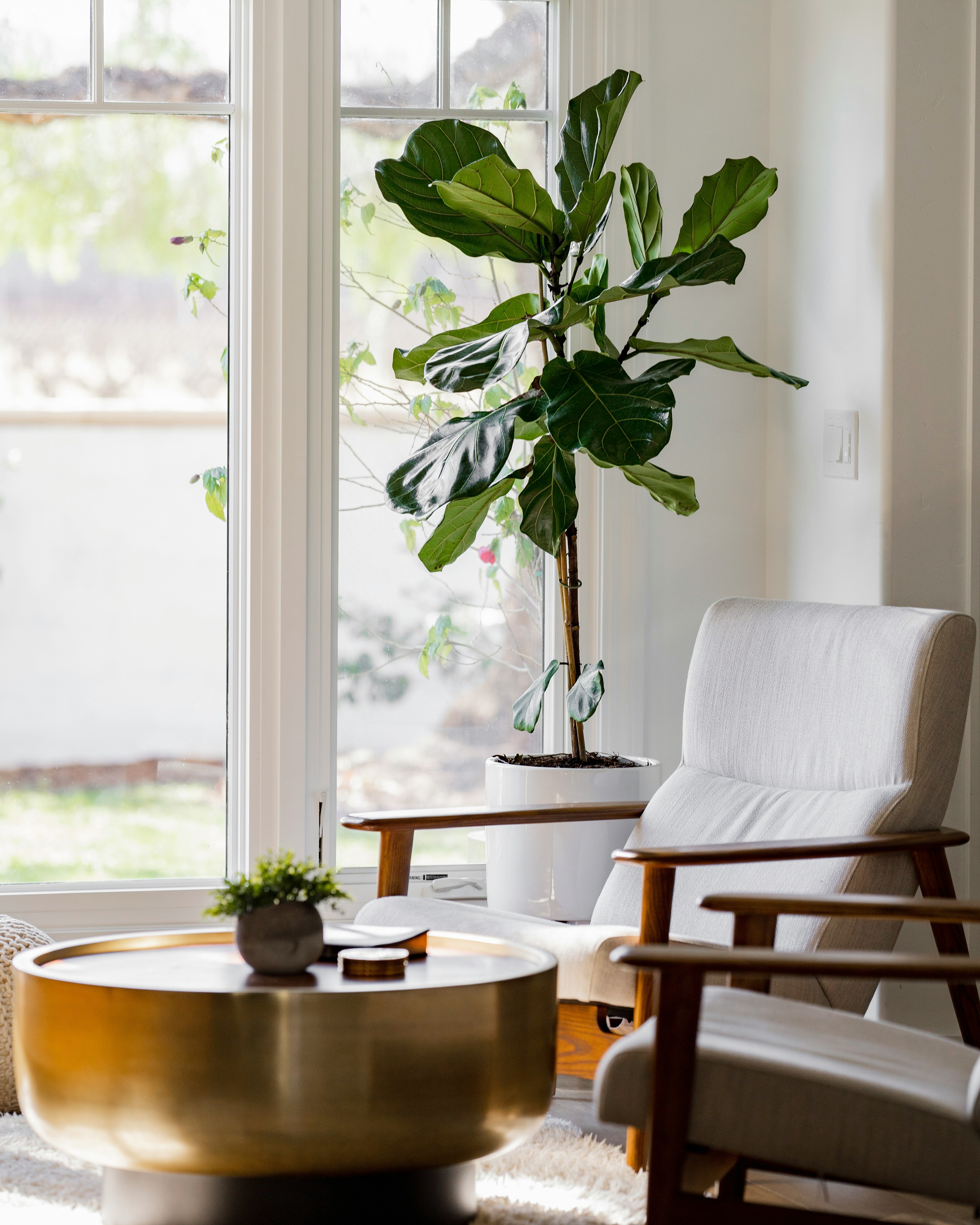 Decoraci�n para la primavera-verano 2026; las tendencias que vienen y deber�as conocer: naturaleza