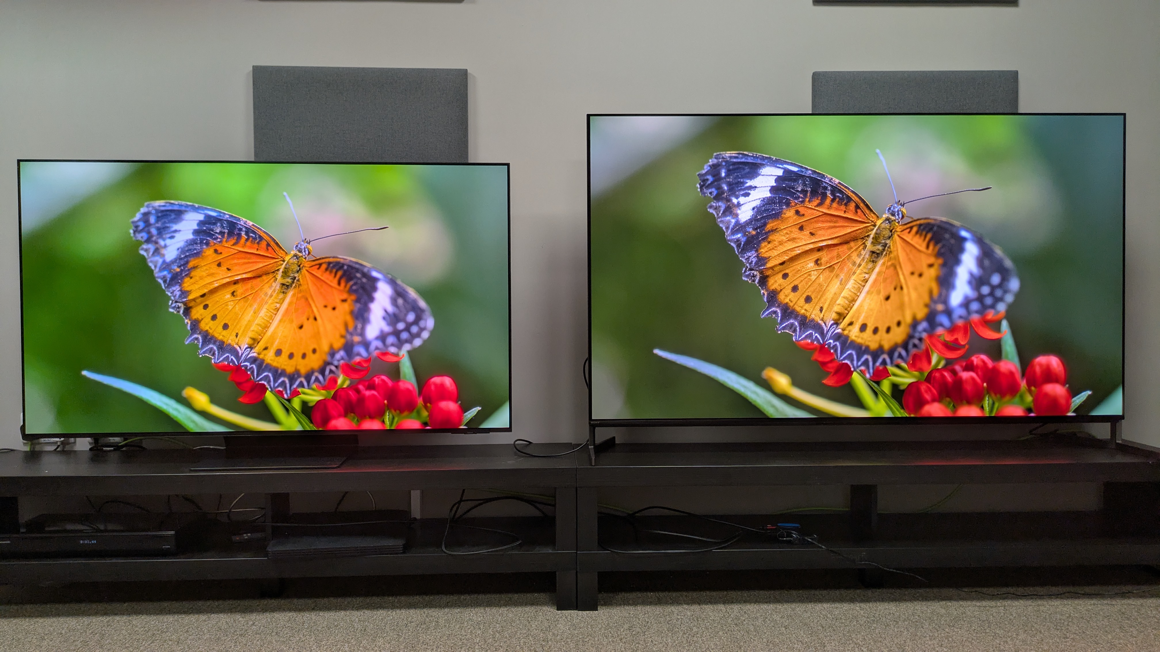 Samsung S95F (left) and Sony Bravia 8 II (right) displaying an orange butterfly on screen 