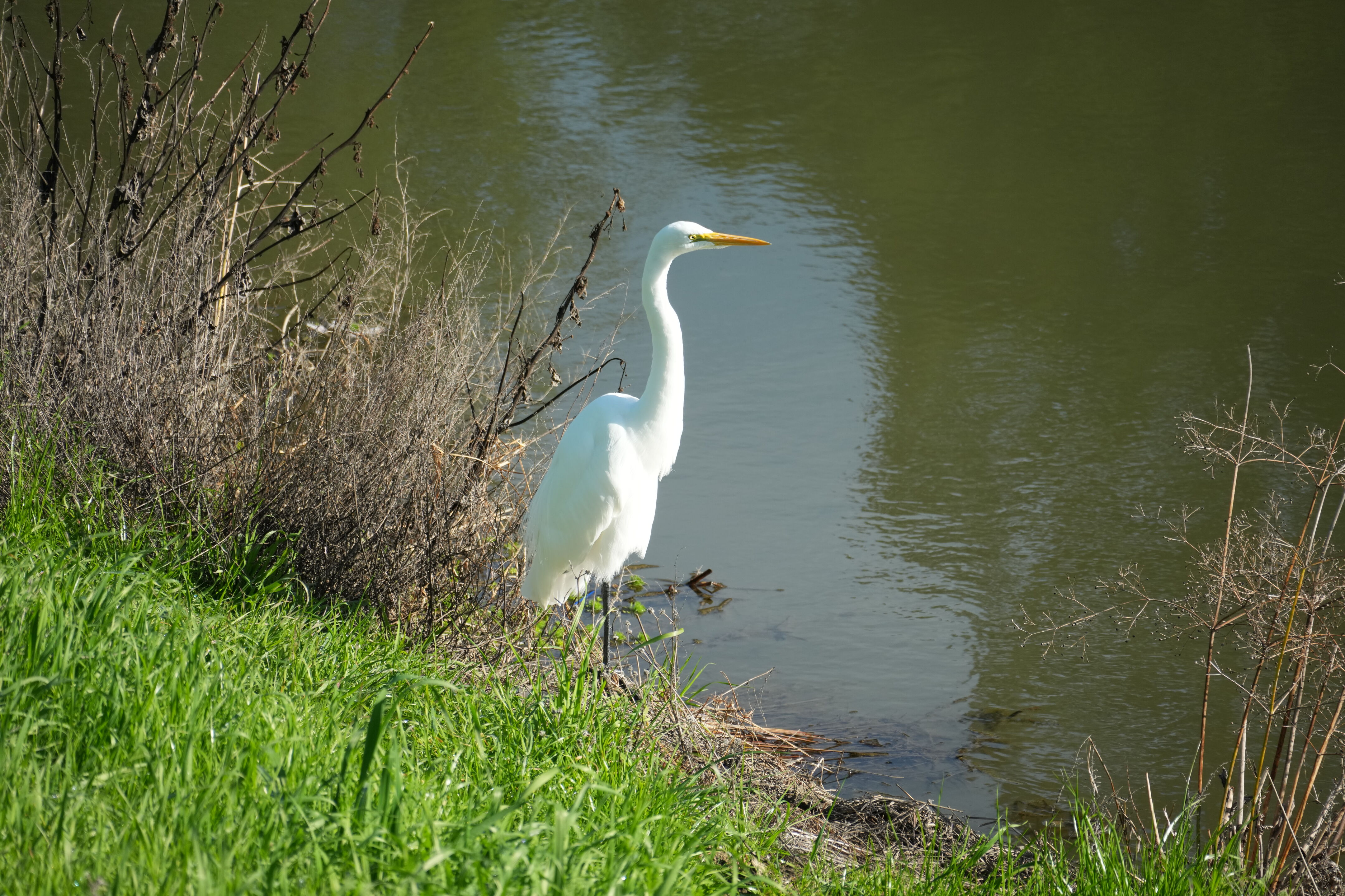 Don Castro Regional Recreation Area