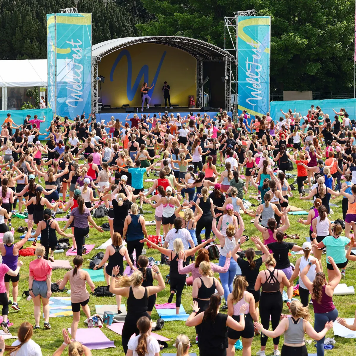 Wellfest