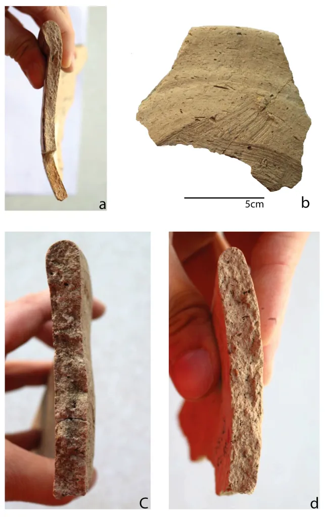 Fragmentos de cerámica