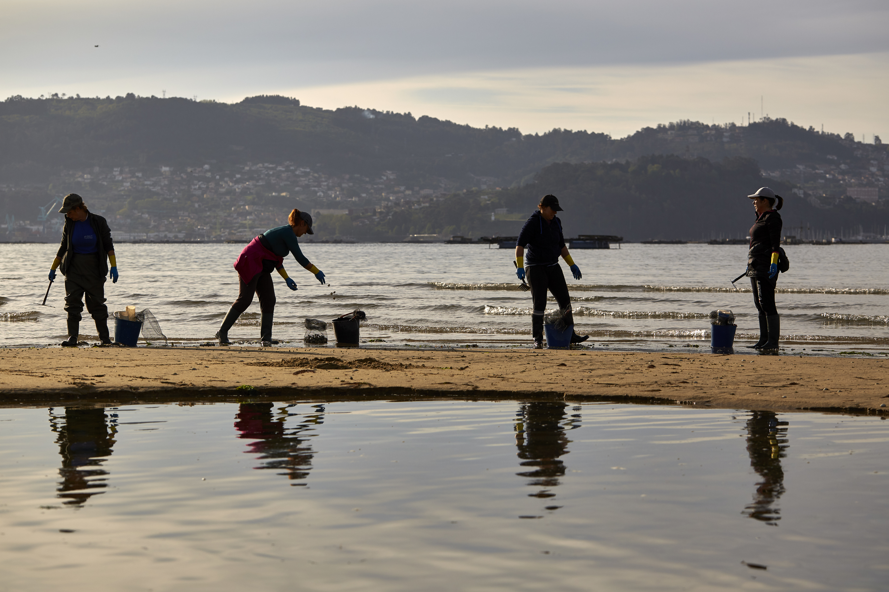 Mariscadoras recogen berberechos y almejas en la r�a de Vigo, a la altura de Moa�a.