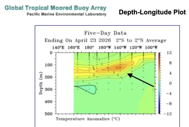 Below the surface of the ocean, conditions indicate a significant accumulation of heat (in orange), aiding El Nino development. Below the surface of the ocean, conditions indicate a significant accumulation of heat (in orange), aiding El Nino development.