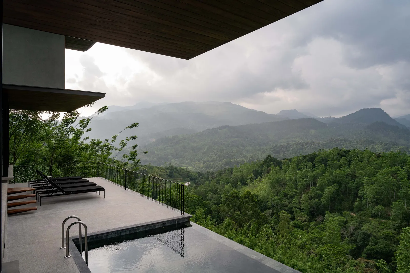 Image may contain Plant Vegetation Tree Land Nature Outdoors Rainforest Woodland Scenery Architecture and Building