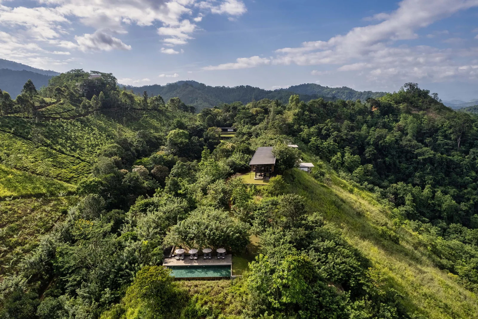 Image may contain Land Nature Outdoors Plant Tree Vegetation Woodland Architecture Building and Aerial View