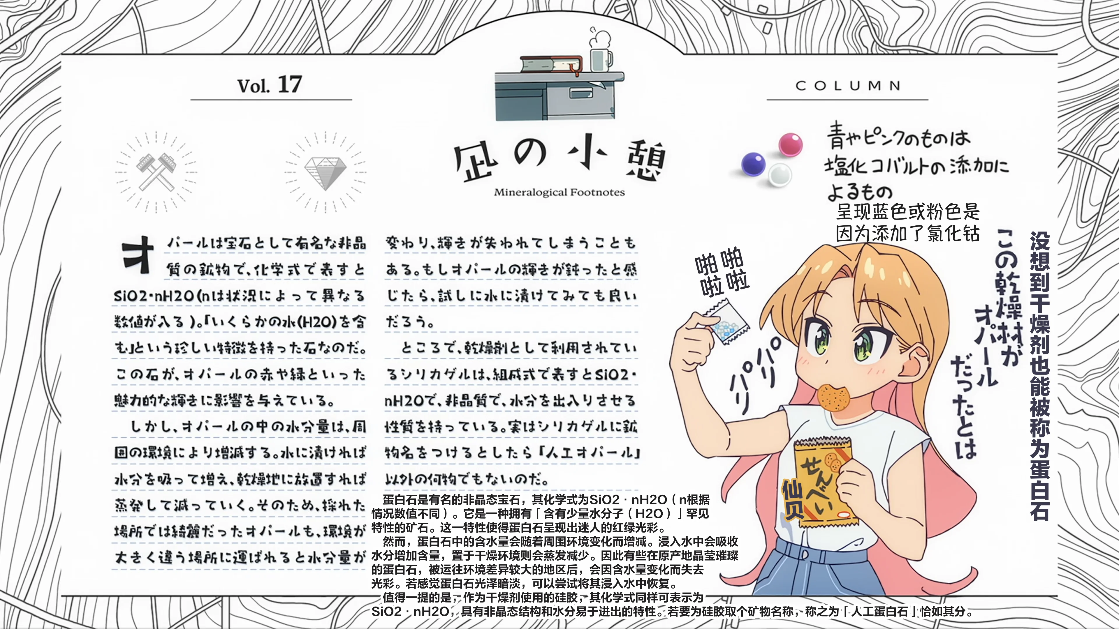 Vol.17
