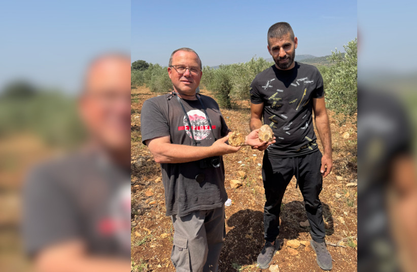 Tel Aviv University Professor Ran Barkai and Sakhnin resident Muataz Shalata, after finding a handaxe incorporating a geode (“Elijah’s apple”) from the Sakhnin Valley, northern Israel, March 24, 2026.