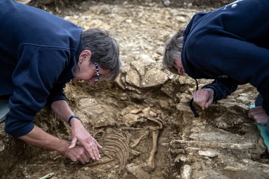 Excavación de la tumba