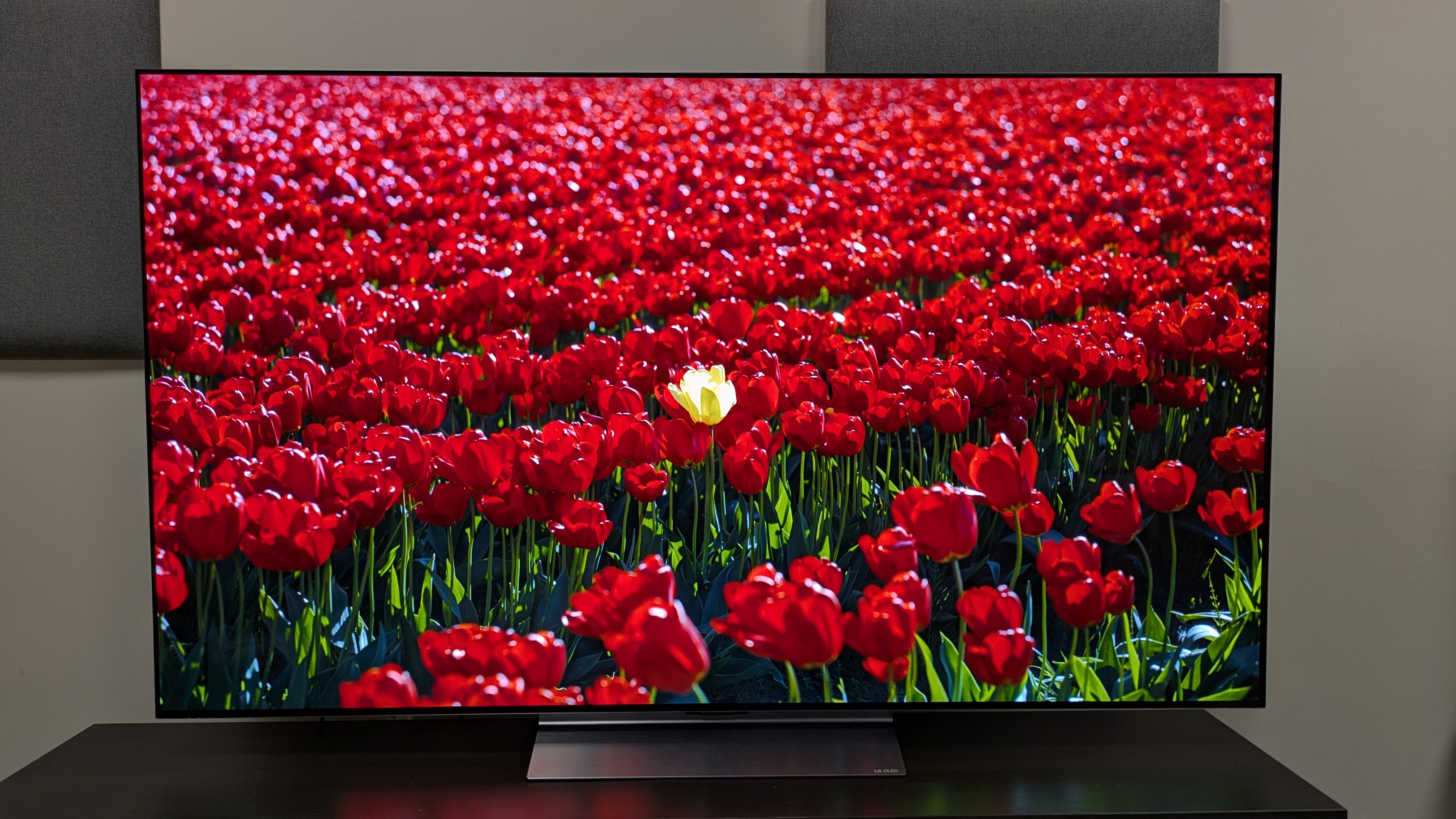 LG C6 with a field of red flowers and a single yellow flower in the centre of the field on screen 