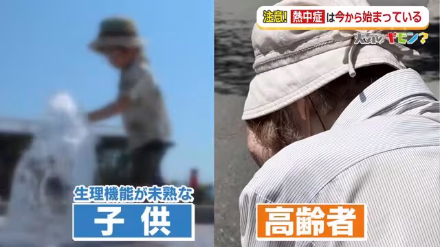 熱中症による救急搬送者