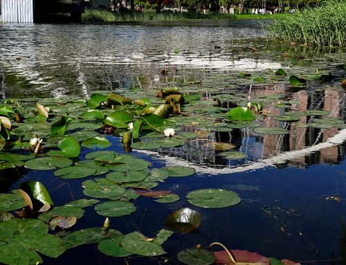 亮马河Walk