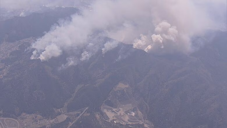 岩手・大槌町山林火災　ふるさと納税で町を支援へ｜FNNプライムオンライン