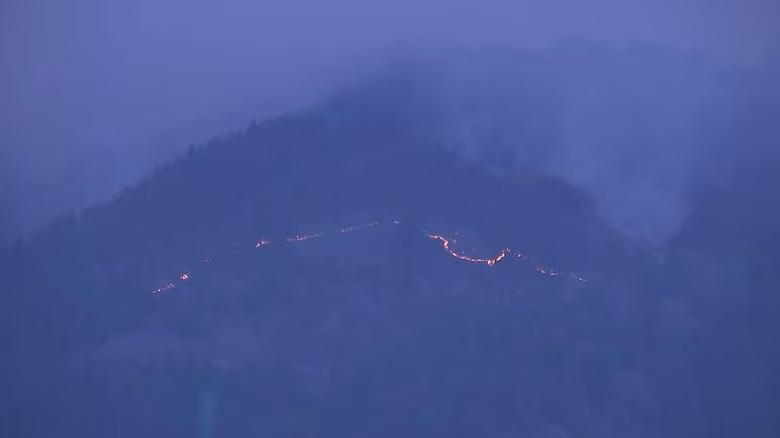 岩手・大槌町山林火災　建物7棟焼ける被害　延焼中　（4月23日午後3時30分時点）｜FNNプライムオンライン