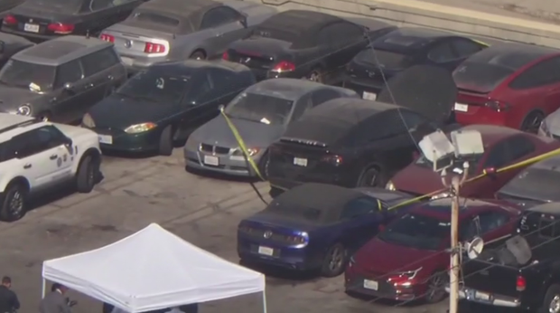 celeste-rivas-tesla-tow-yard.png 