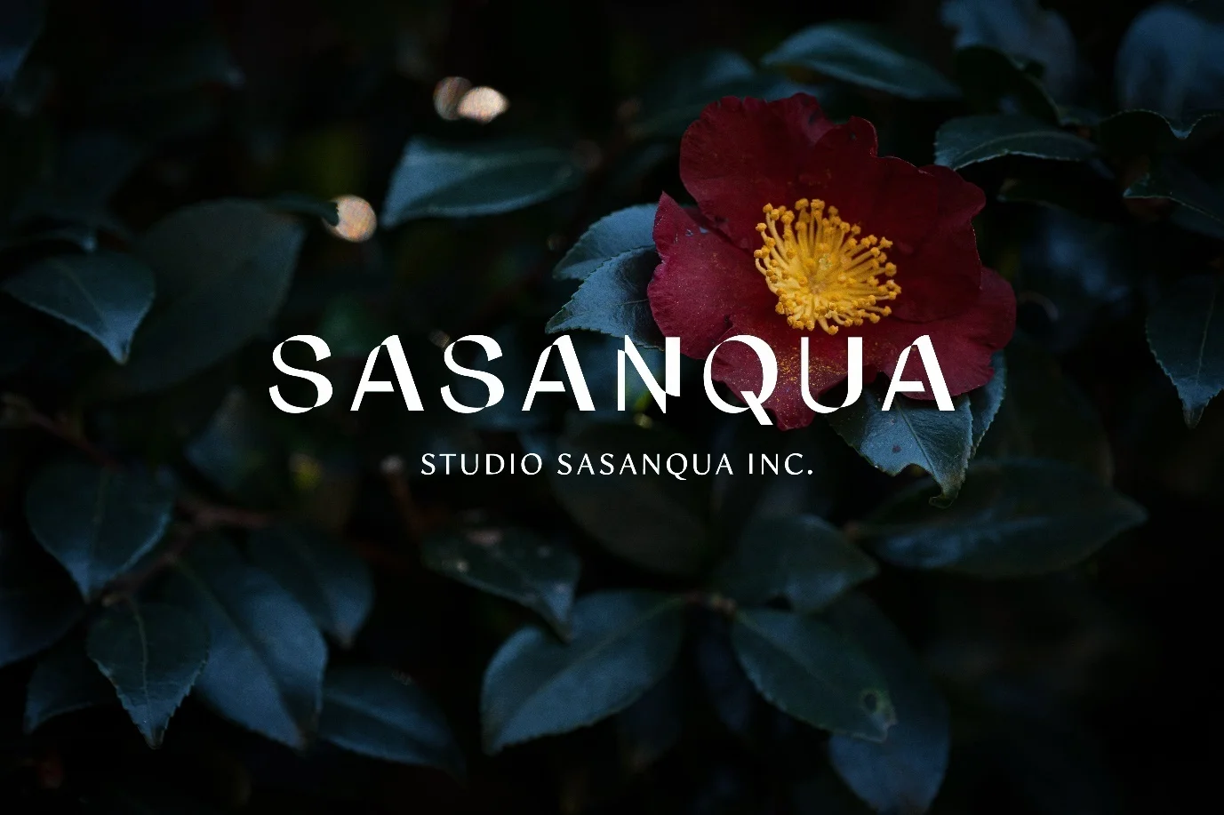 《圣剑传说 VISIONS of MANA》总监小泽健司成立新公司“Sasanqua”