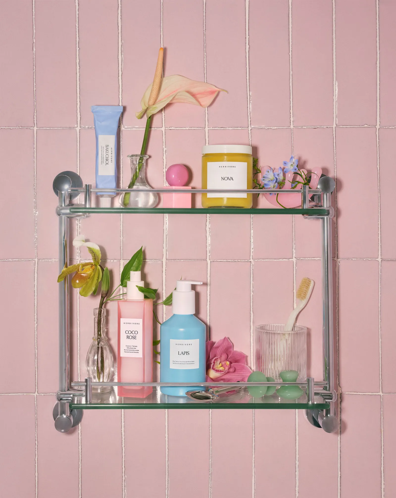 Image may contain Cabinet Furniture Shelf Brush Device Tool Toothbrush Flower and Plant