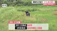 【クマ出没】走行中の車とクマ衝突・山へ逃げる　目撃件数2025年の3倍超（3月末時点）　山形・南陽市