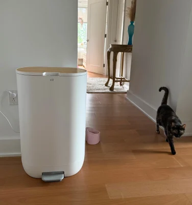 Cat walking past Mill food recycling bin