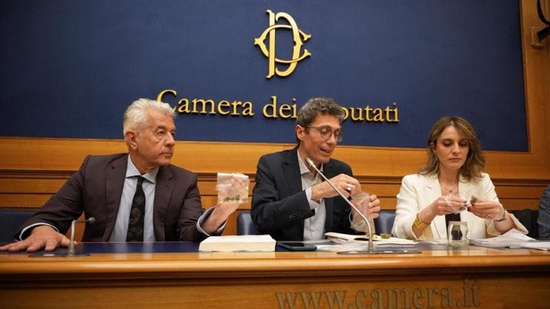Da Caruso a Magi, quando la cannabis entra in Parlamento