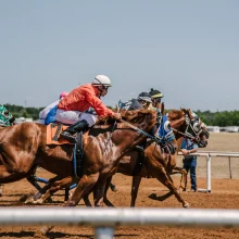 jockeys on horses racing