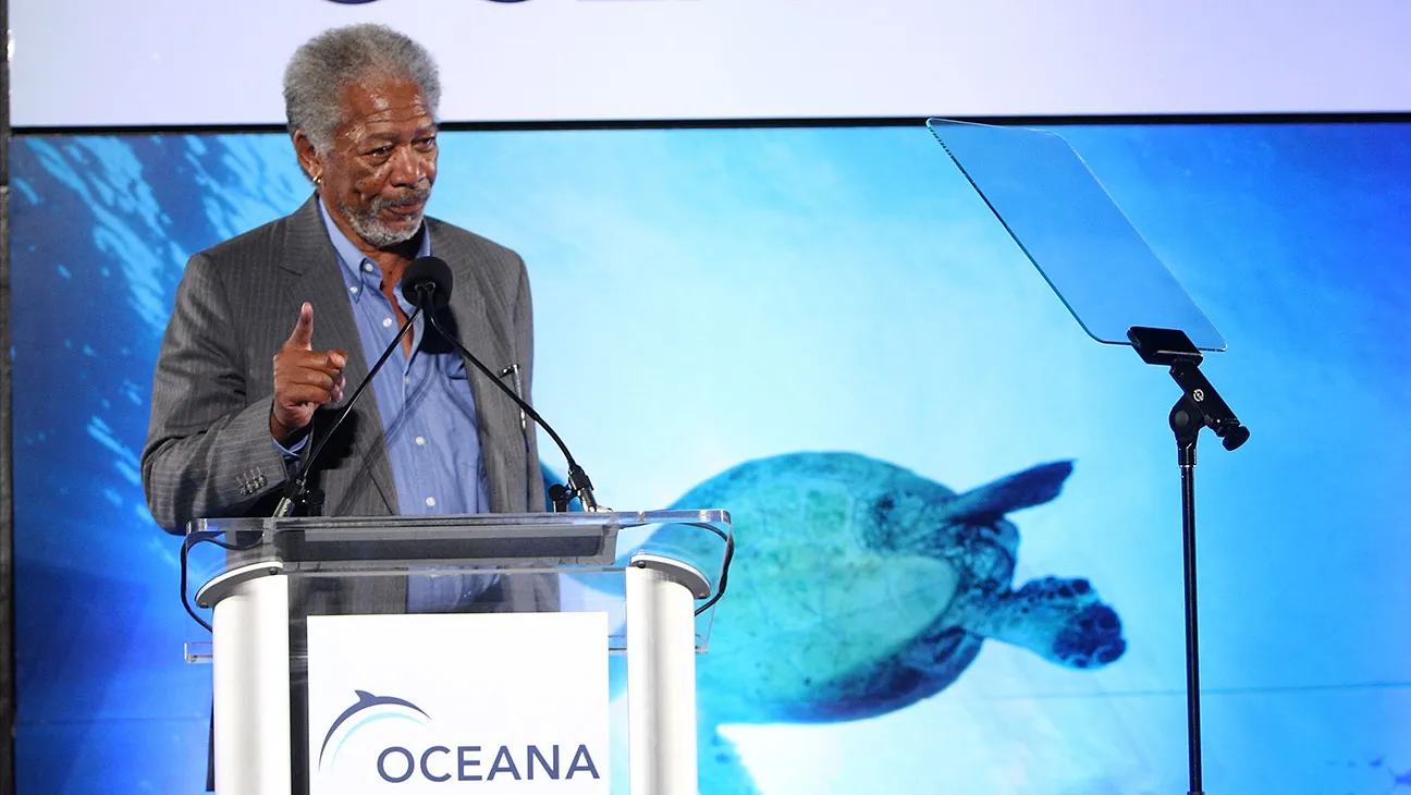 Actor Morgan Freeman attends the Oceana Seachange Summer Party held on August 22, 2009 in Laguna Beach, California.