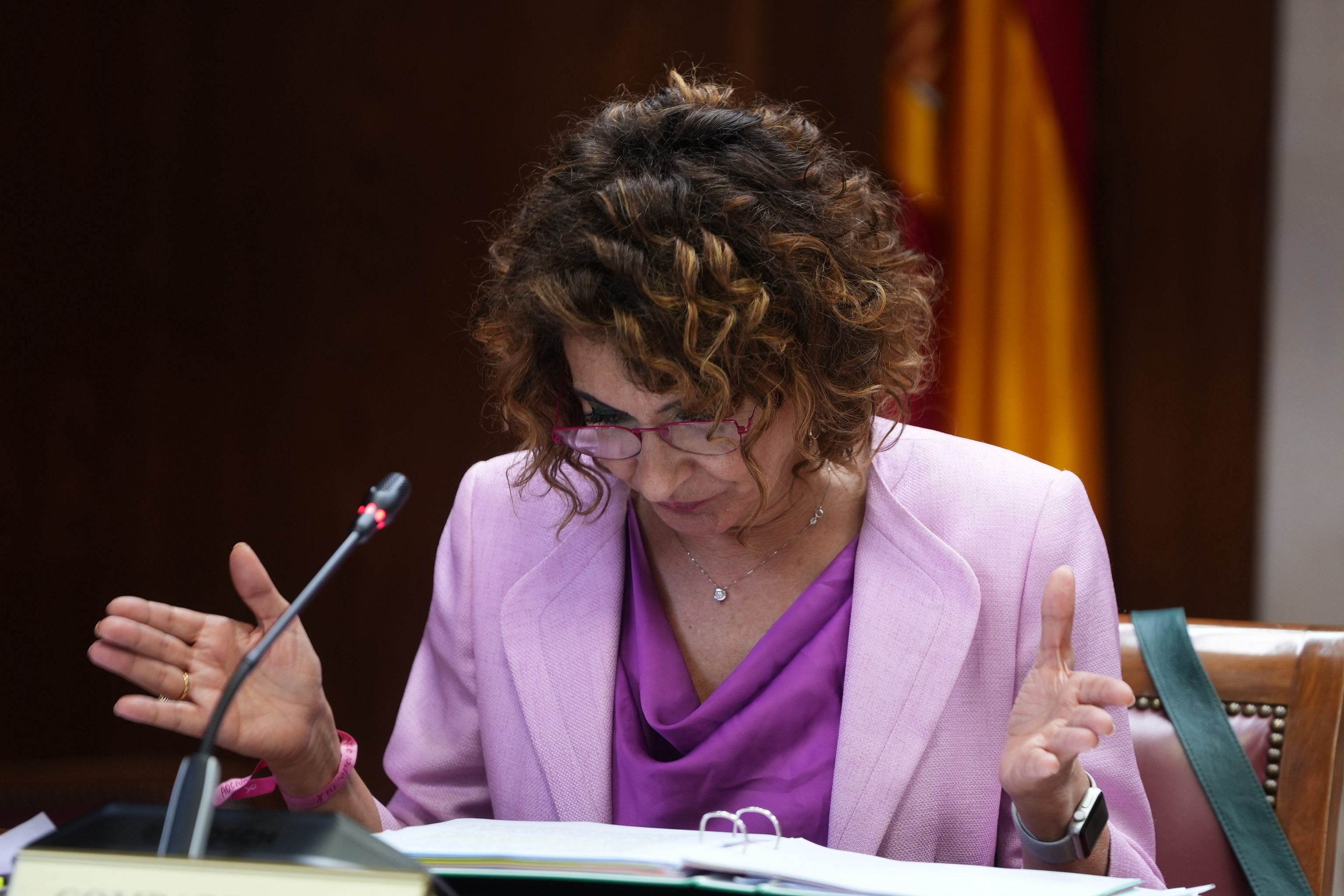 Mar�a Jes�s Montero, en su comparecencia en el Senado
