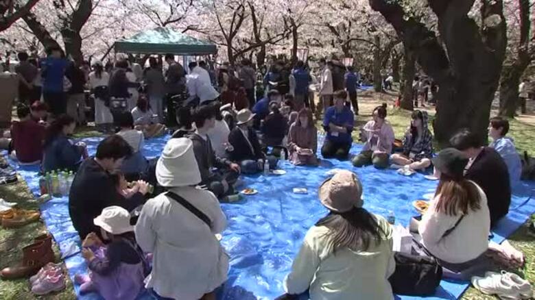 お花見で国際交流会　様々な国の文化に理解を深める　岩手県盛岡市｜FNNプライムオンライン