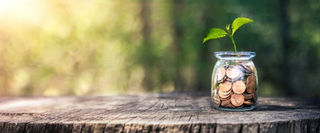 Plant Growing Out Of Coin Jar