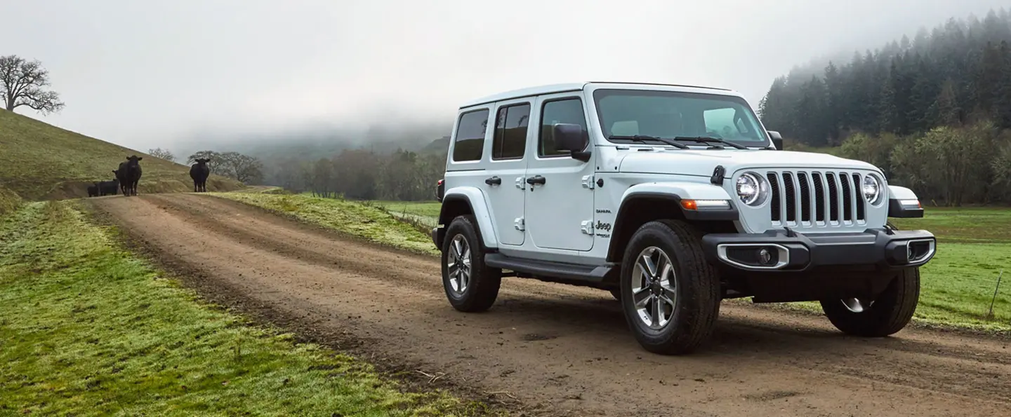消息称 Stellantis 调整资源分配,Jeep、Ram、标致、菲亚特将成重点发展对象