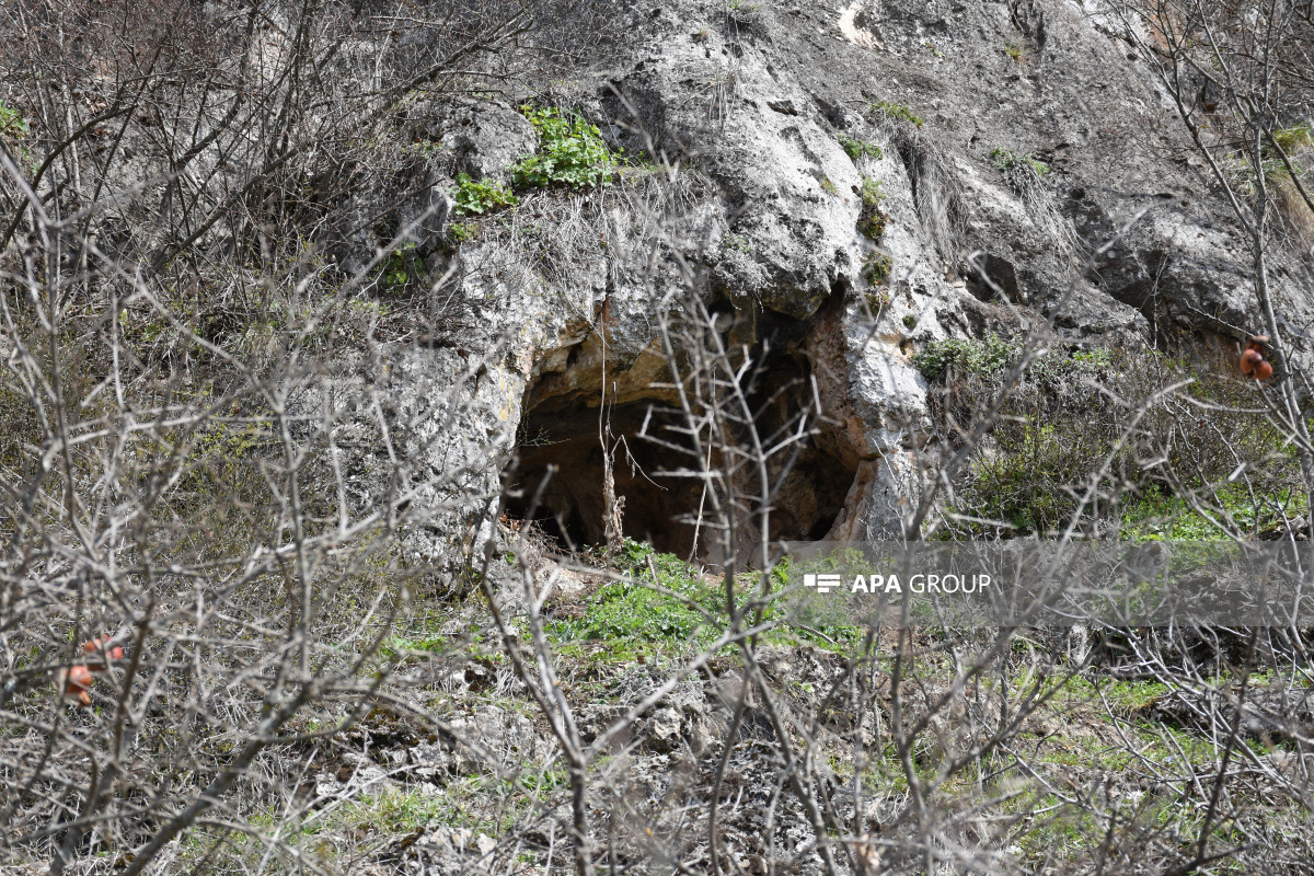 Azıx və Tağlar abidələrində beynəlxalq ekspedisiyalar fəaliyyət göstərir -  FOTO - YENİLƏNİB