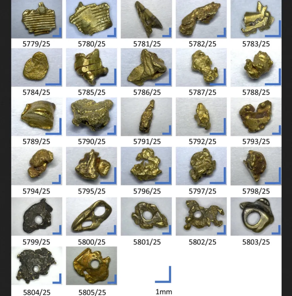 Oro pirata
