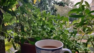 COOL CUPPA: Reinventing an old favourite for the new gen COOL CUPPA: Reinventing an old favourite for the new gen
