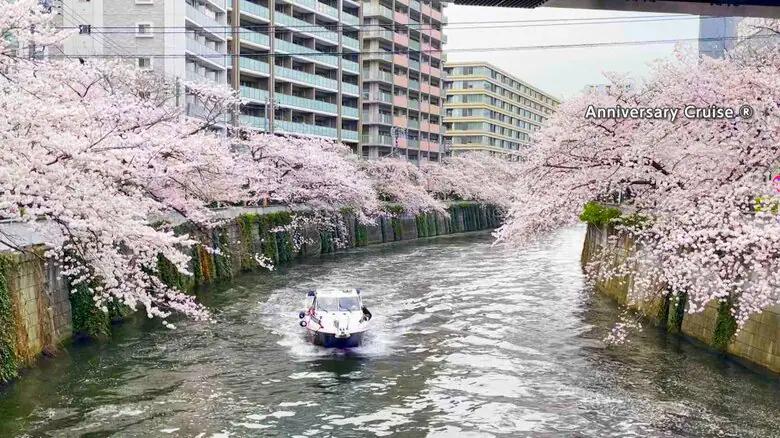 訪日外国人3月までに1000万人突破　2年連続　3月としては過去最多361万9000人　桜シーズンなどで需要高まる｜FNNプライムオンライン