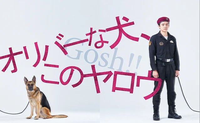 这个警犬不简单，日剧《警犬奥利弗》宣布制作续篇