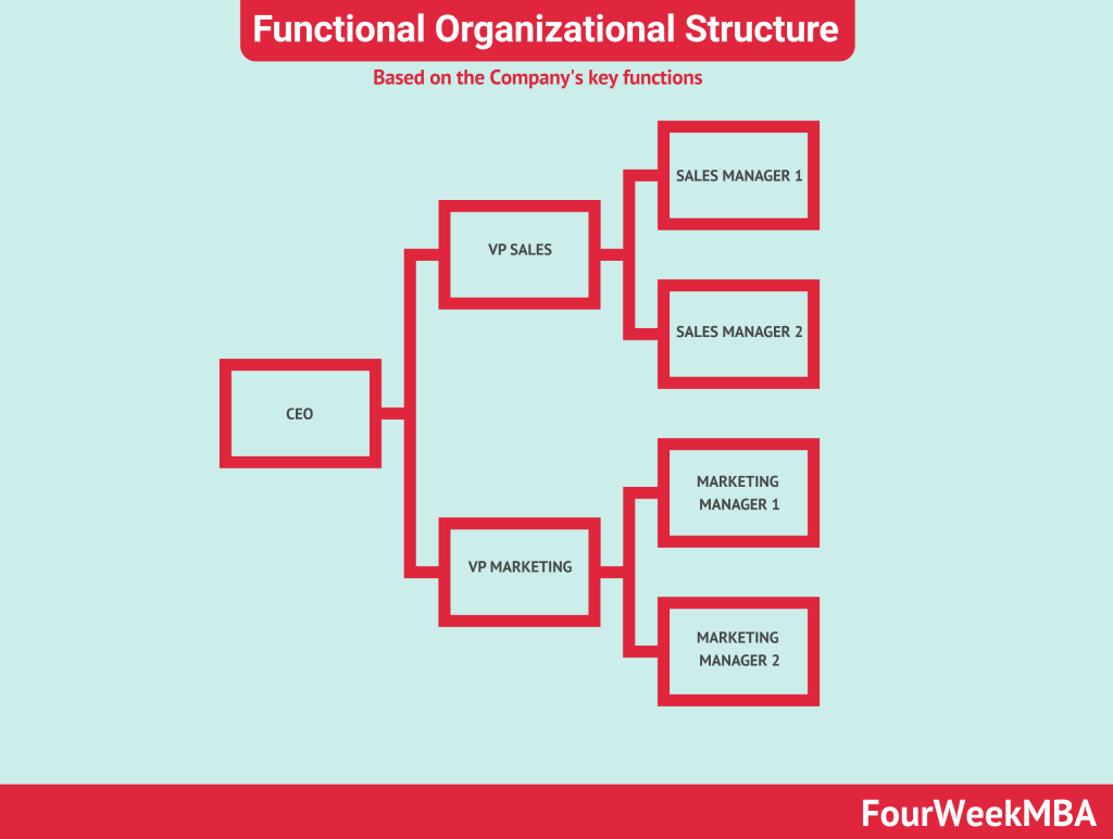 functional-organizational-structure