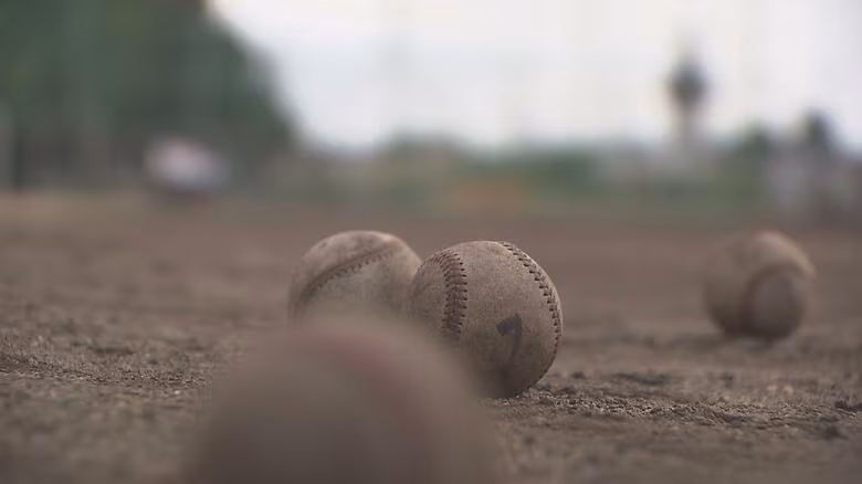 【速報】春の高校野球四国大会　香川県勢２校決勝進出逃す　新田（愛媛）と高知商業が決勝進出｜FNNプライムオンライン