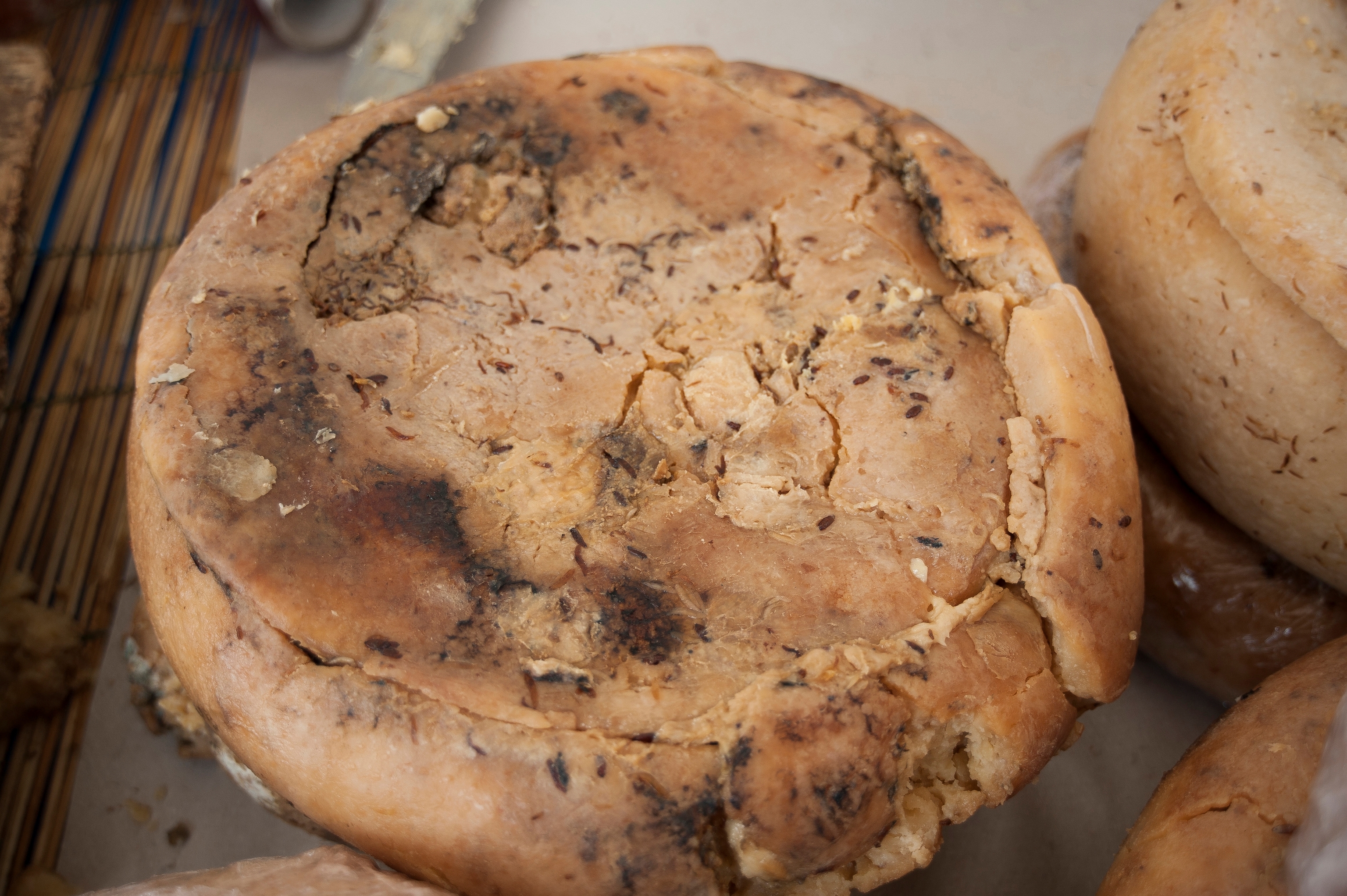 Casu Marzu, queso tradicional de Cerde�a con larvas vivas.