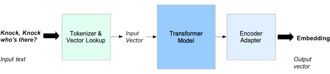 A diagram illustrating text processing with stages for Tokenizer & Vector Lookup, Transformer Model, and embedding text into