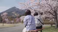 《ふくしま桜紀行2026》猪苗代町・亀ケ城公園　磐梯山とサクラ　町民に愛され続ける景色